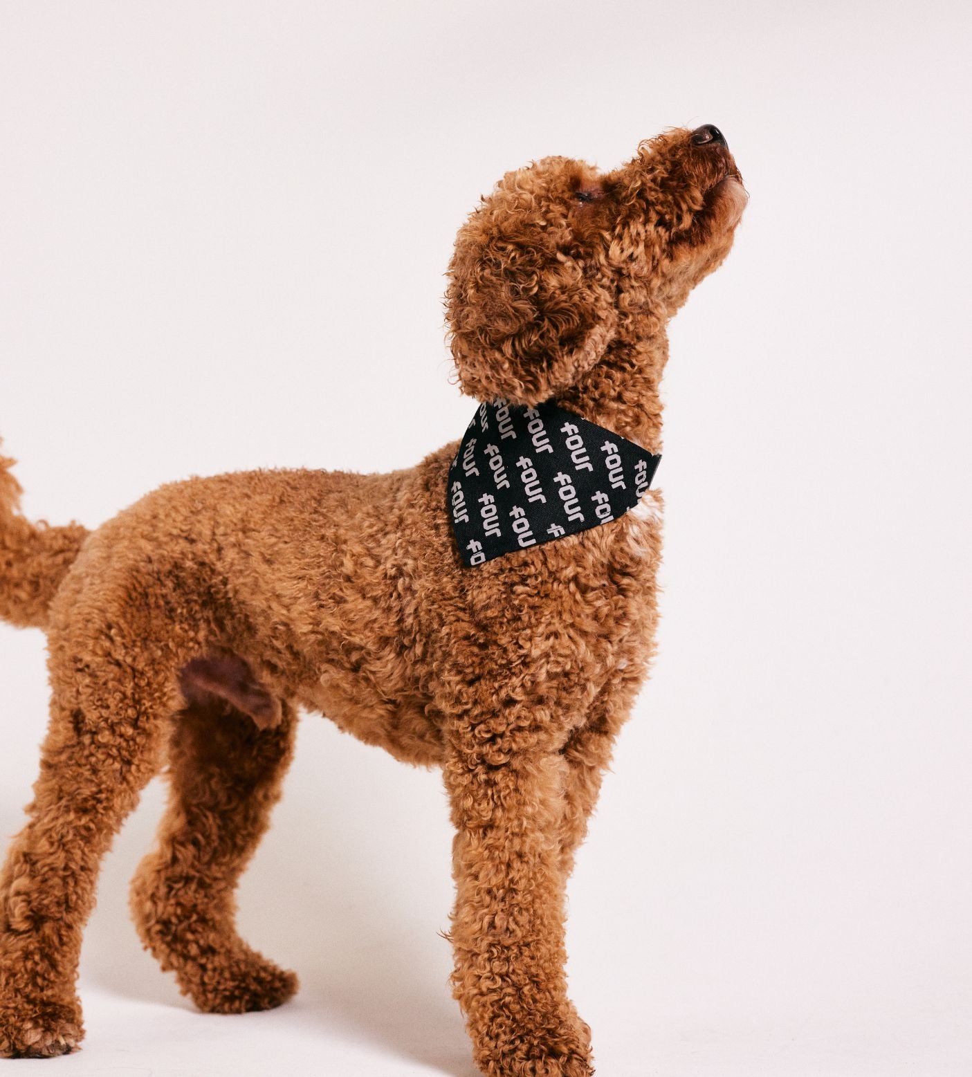 FOUR Huisdieren Bandana Zwart