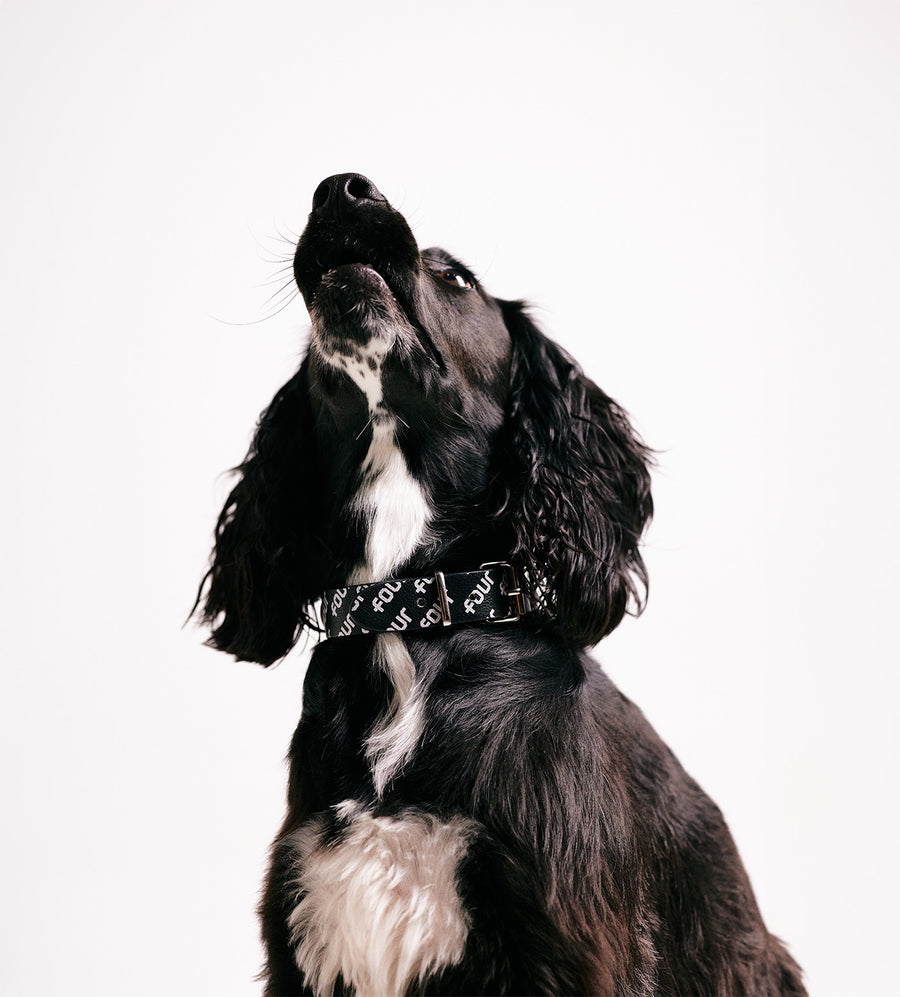 FOUR Pets Collar Black