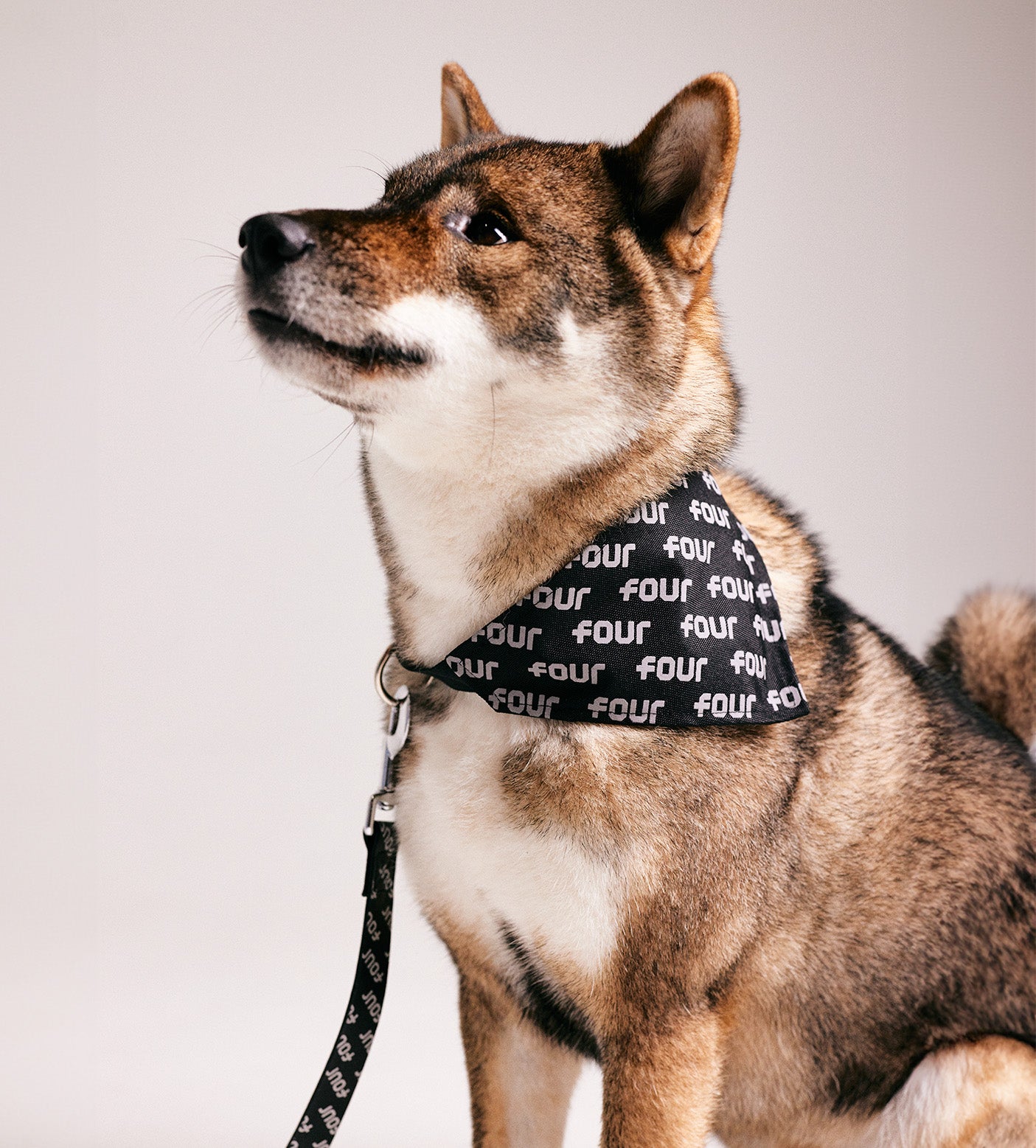 FOUR Huisdieren Bandana Zwart