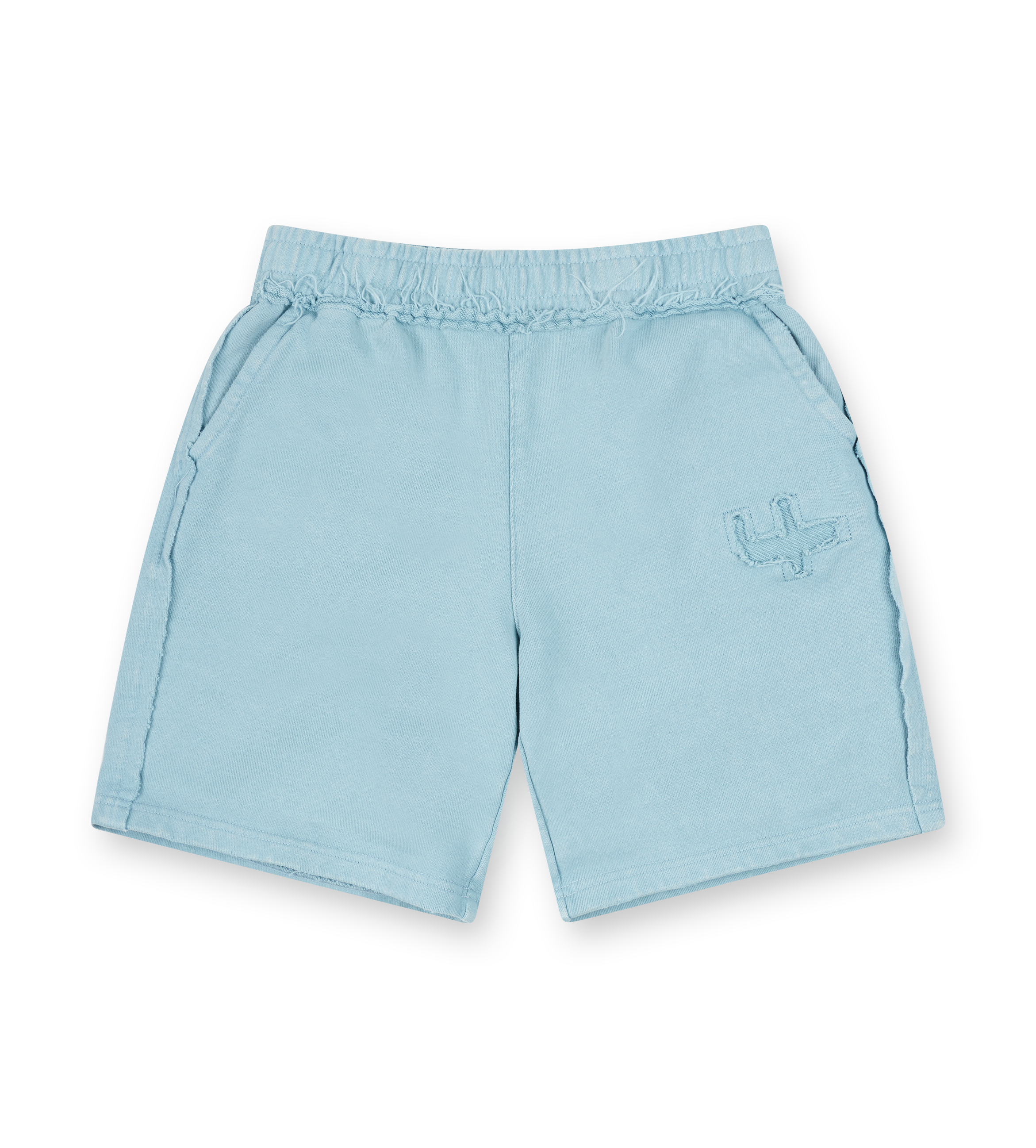 Destroyed Shorts Washed Aqua Gray