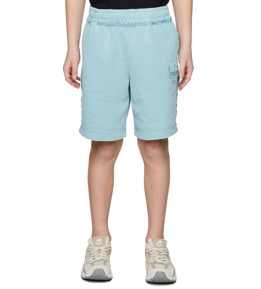 Destroyed Shorts in Washed Aqua Gray