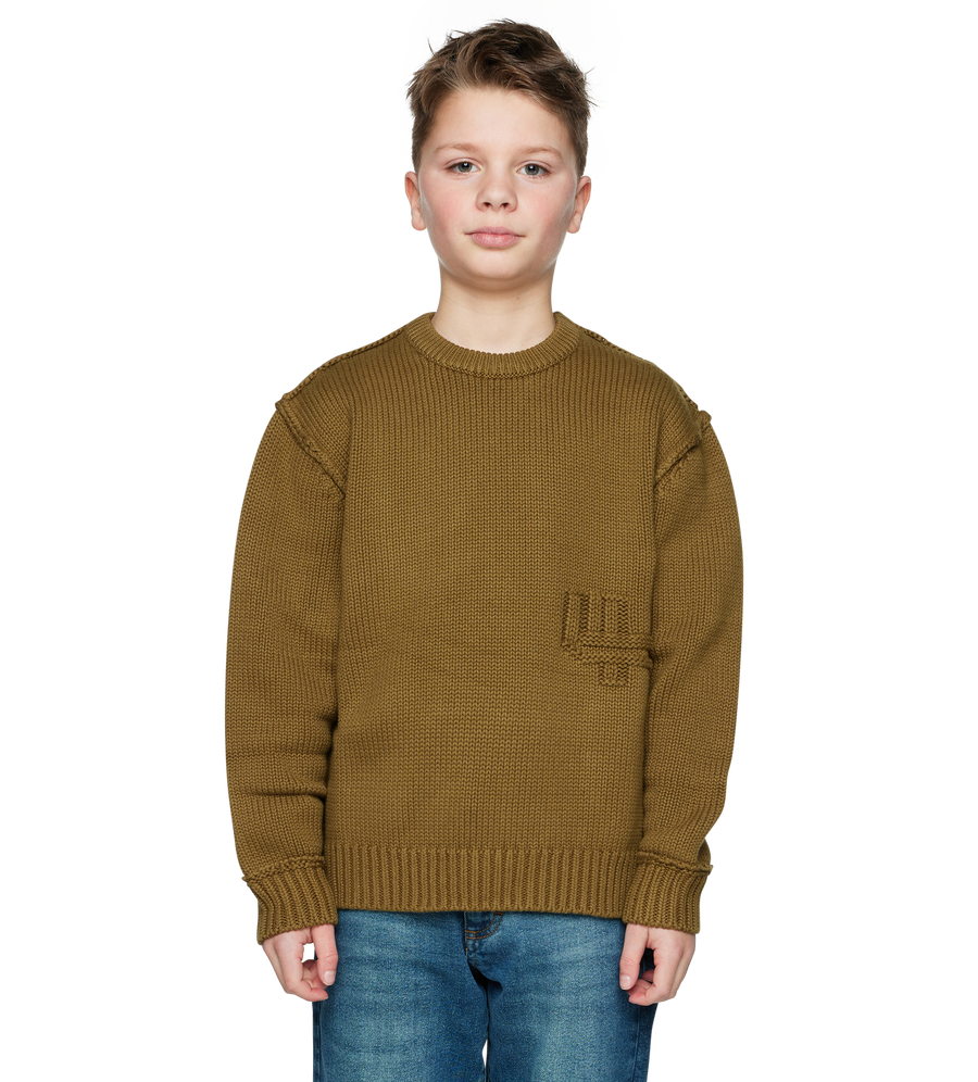 Knitted Crewneck in Plantation