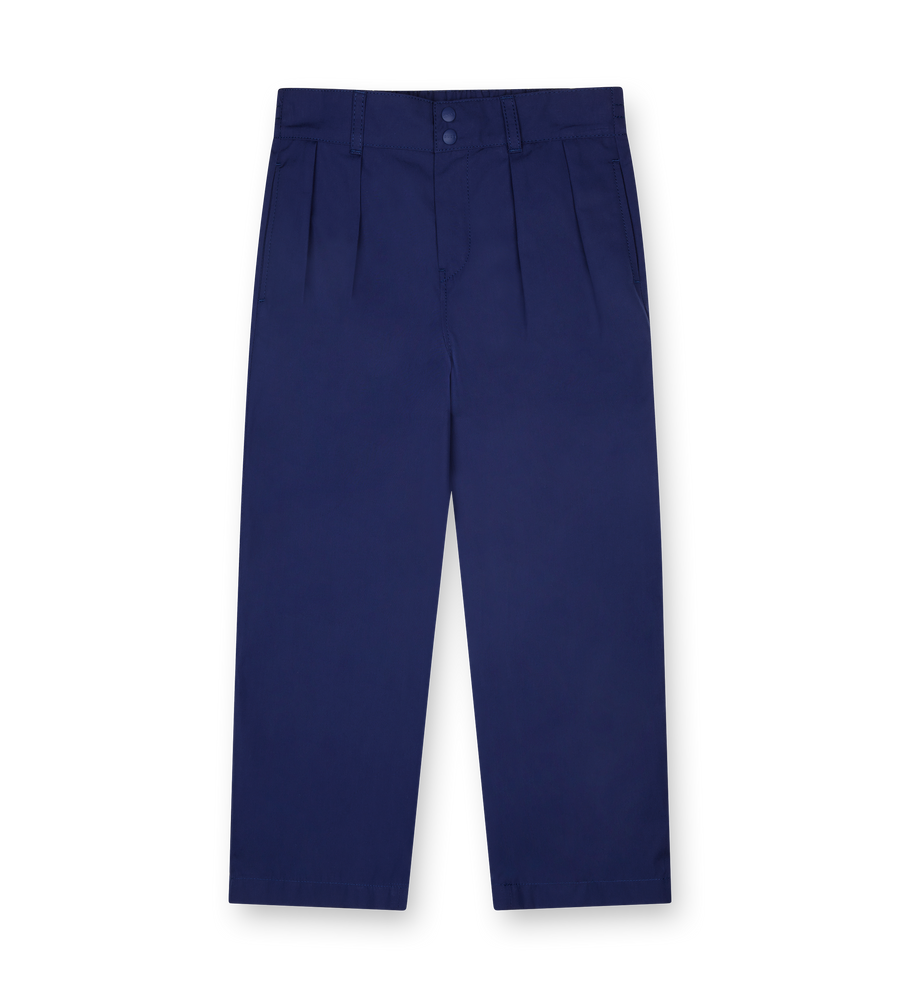 Navy blue pleated trousers