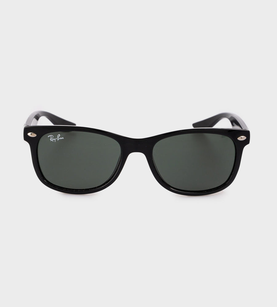Wayfarer Sunglasses Black