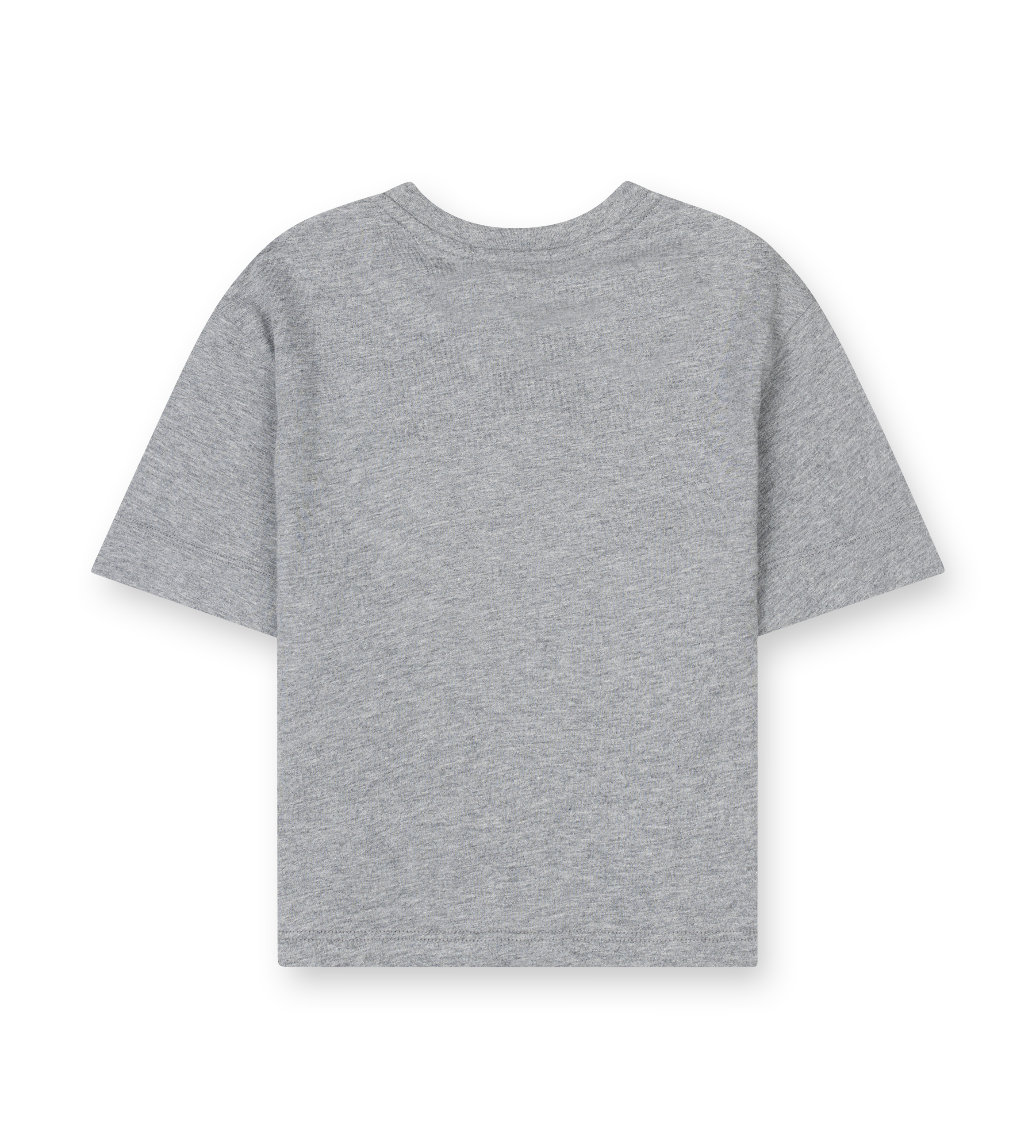 Gray t-shirt on a white background