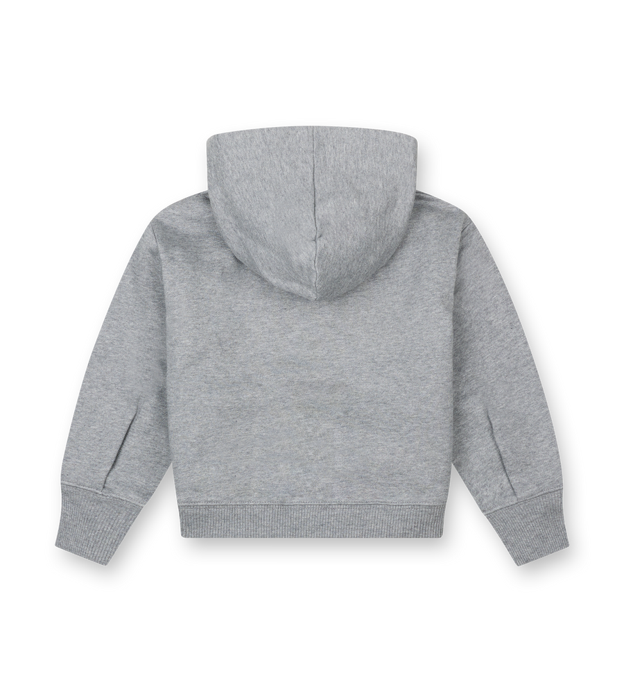 Gray hoodie on a white background