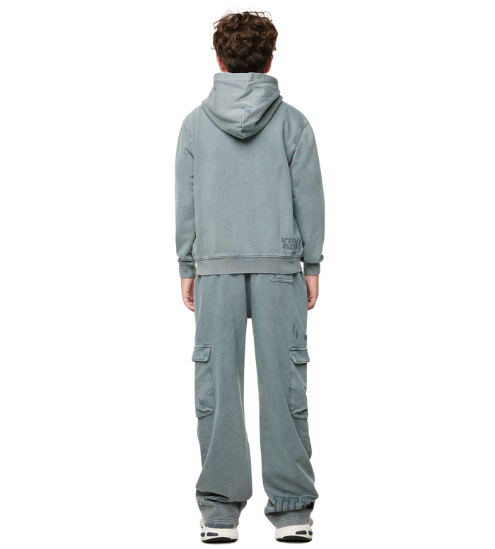 Arch Zip Up Hoodie Washed Grijs