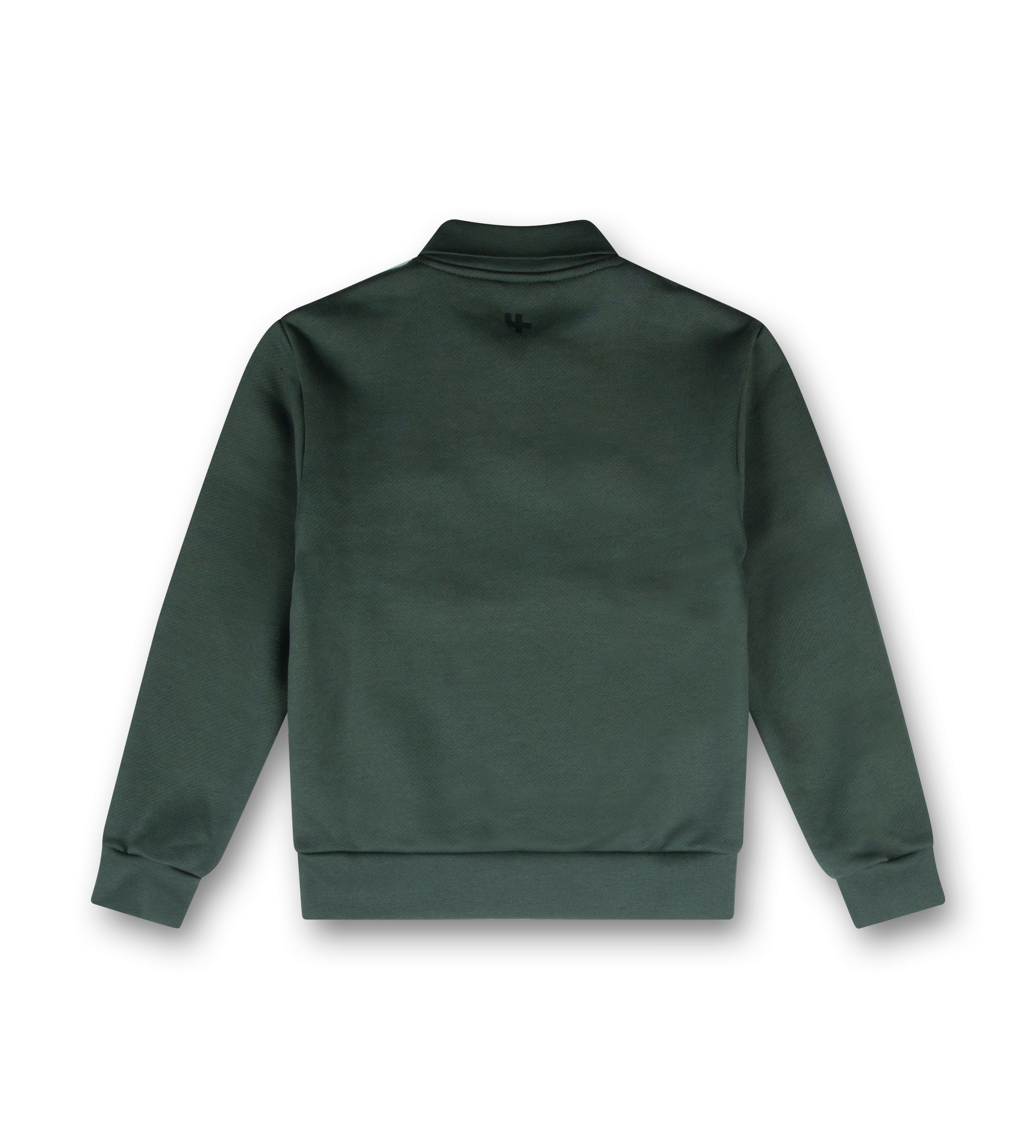 Compressed Polo Deep Forest