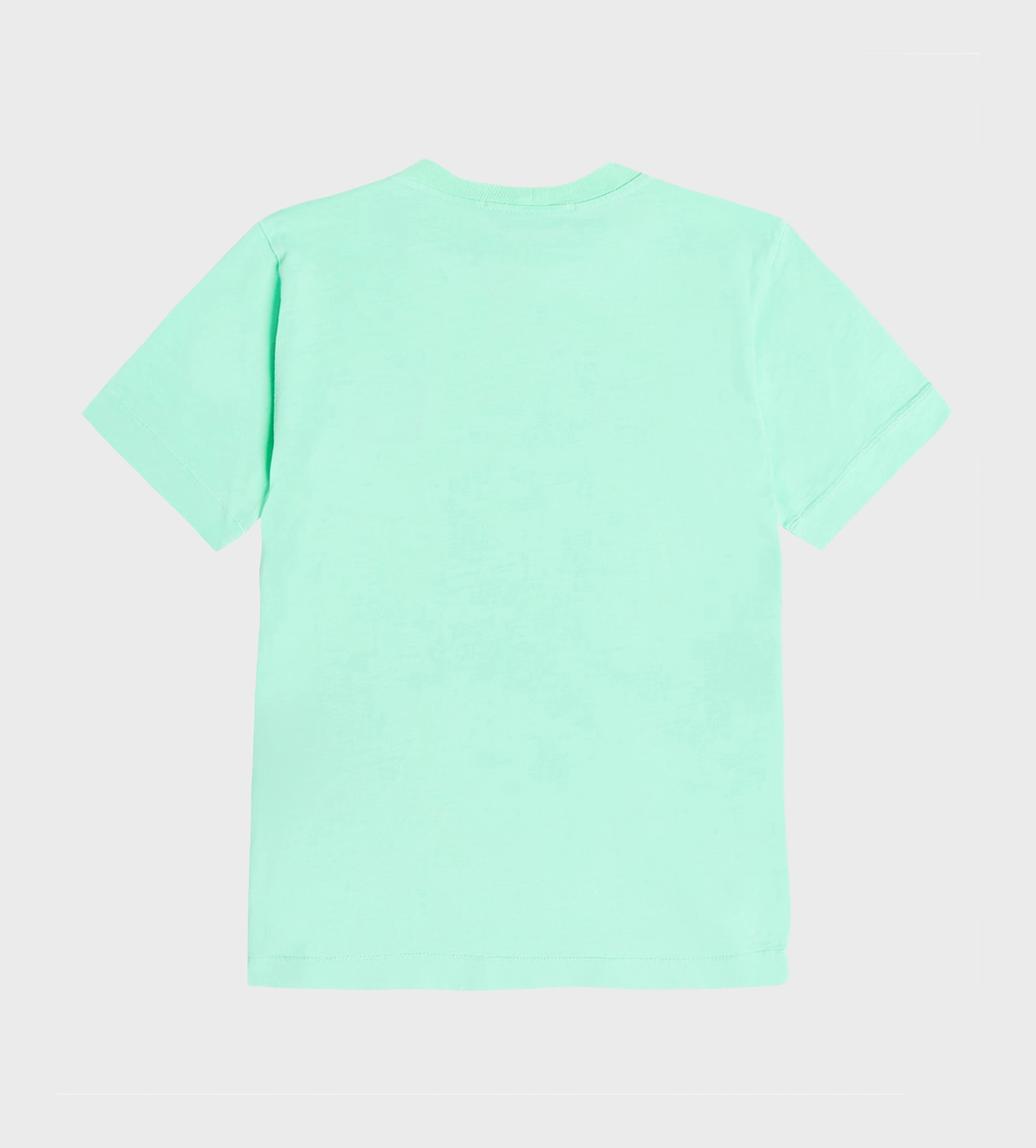 Compass-Patch T-shirt Light Green