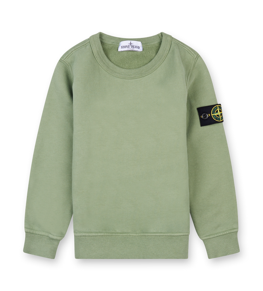 Stone Island Compass Patch Crewneck Sweater in Sage (Kids)