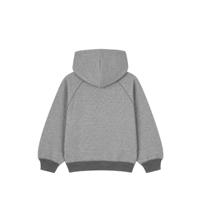 Kids Logo Raglan Sleeve Hoodie Grey