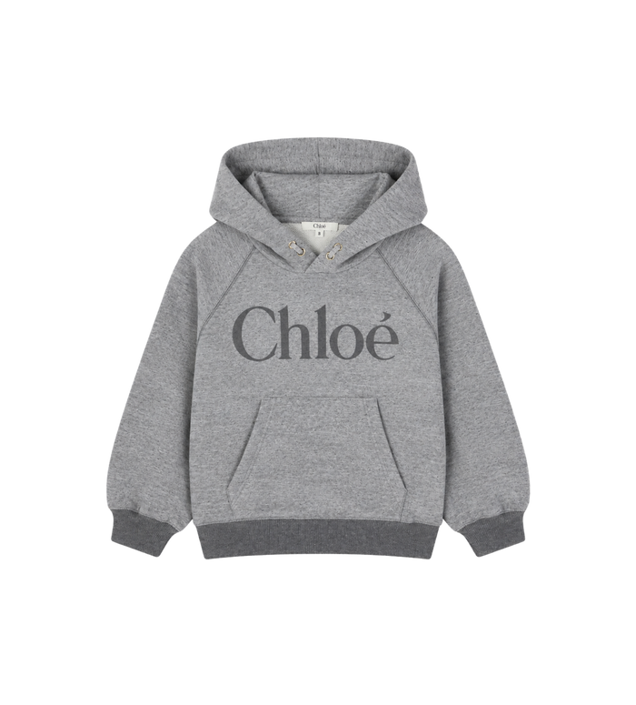 Kids Logo Raglan Sleeve Hoodie Grey