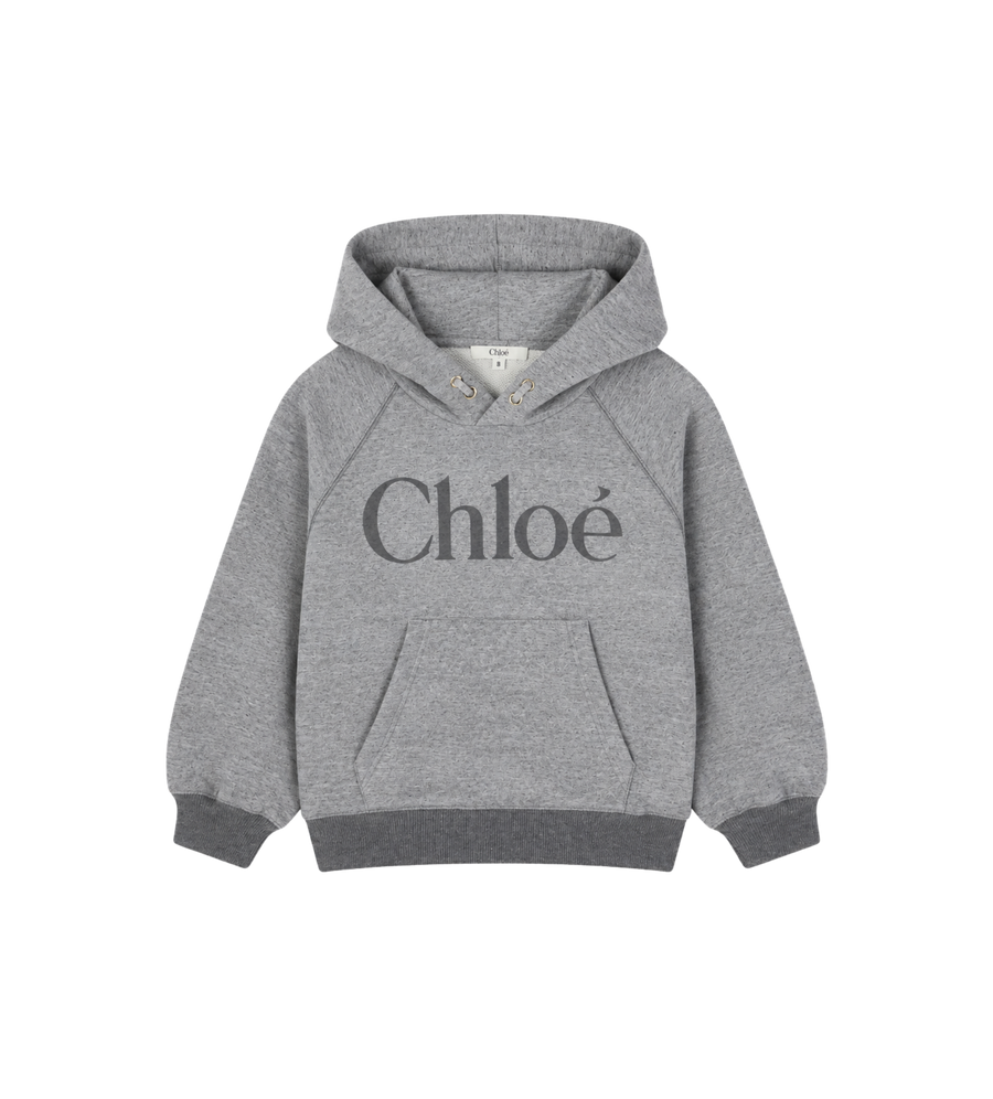 Kids Logo Raglan Sleeve Hoodie Grey