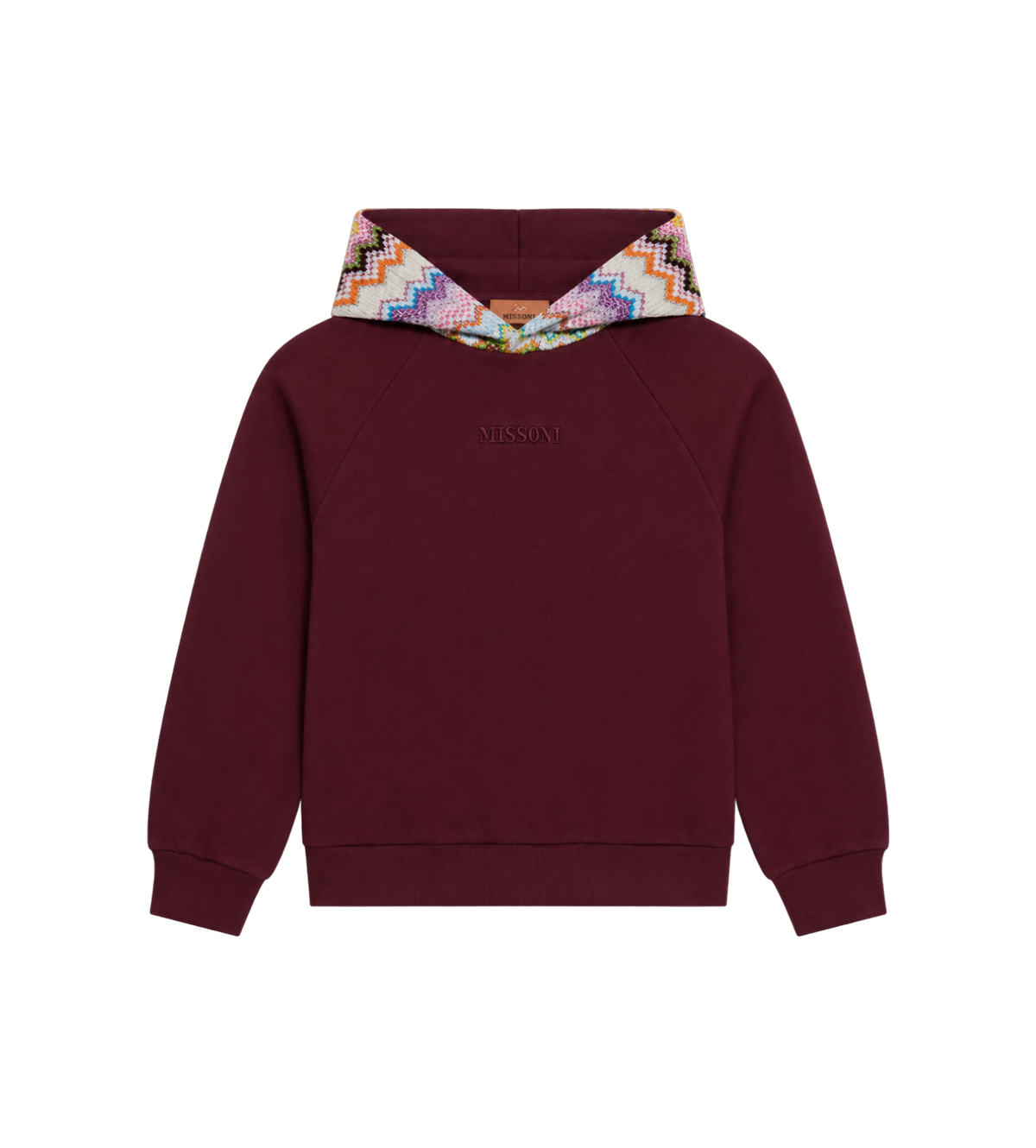Kids Logo hoodie pruim